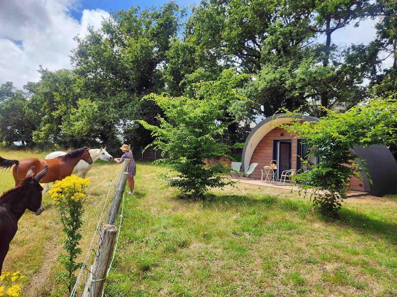 Gites & Tiny Houses Les Hauts De Toulvern Baden Szoba fotó